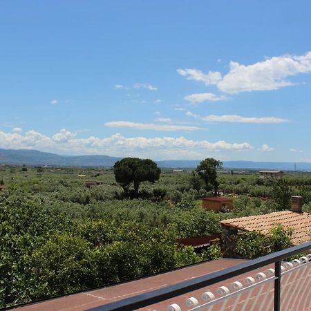 B&B La Vigna Ламеция-Терме Экстерьер фото
