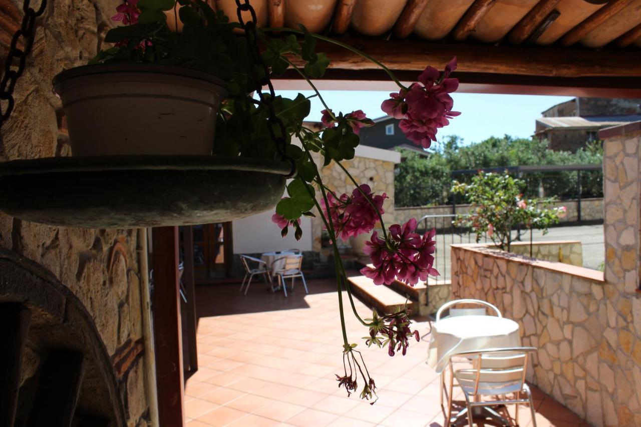 B&B La Vigna Ламеция-Терме Экстерьер фото